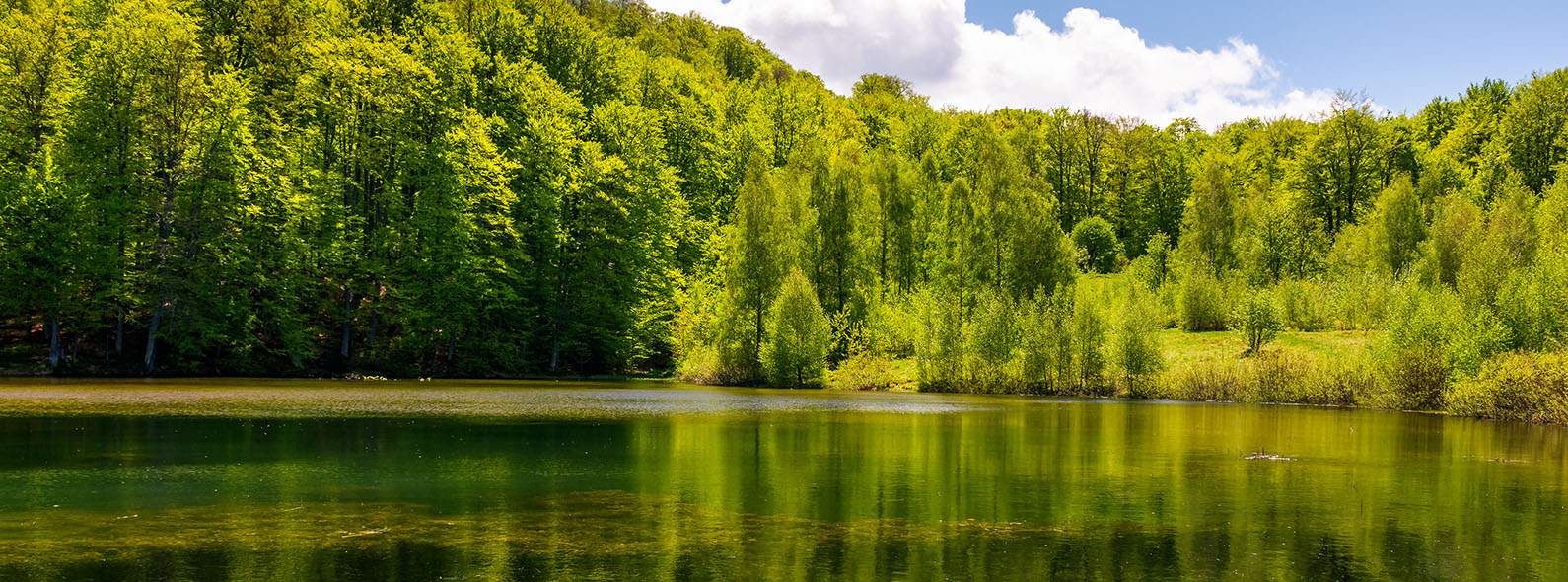 Ningbo Fenghua Yongfa Printing & Stationery Co., Ltd.