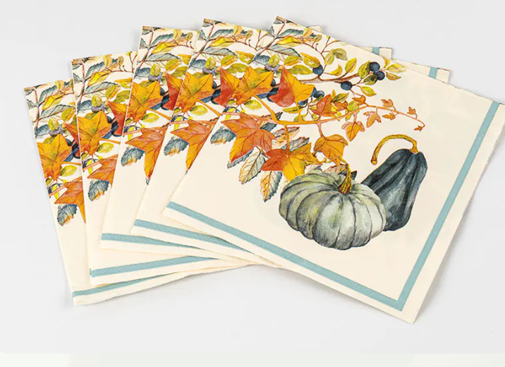 What is Paper Napkin?